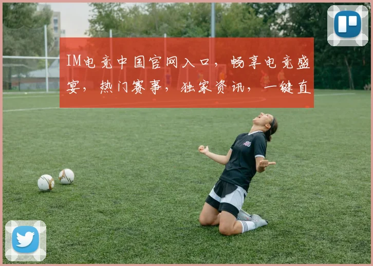 IM电竞中国官网入口，畅享电竞盛宴，热门赛事，独家资讯，一键直达，体验非凡